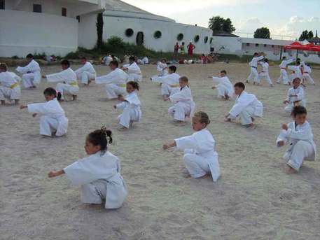 karate progresu cernica tinganu